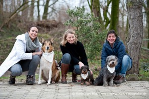 akademie für tierheilkunde praxis