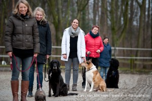 akademie für tierheilkunde hundetrainer